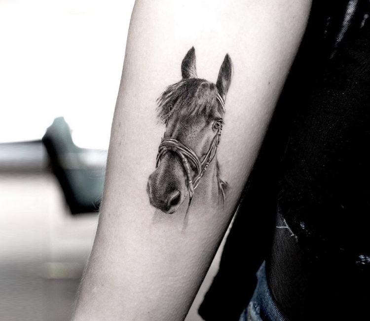100 Realistic Horse Shoulder Tattoo Design png  jpg 2023