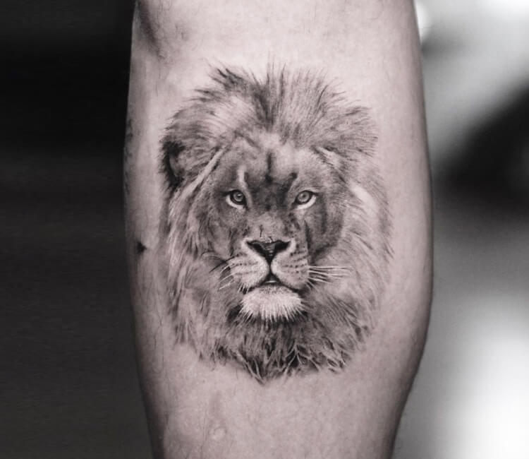 Premium Vector  Lion head face logo silhouette black icon tattoo mascot  hand drawn lion king silhouette animal