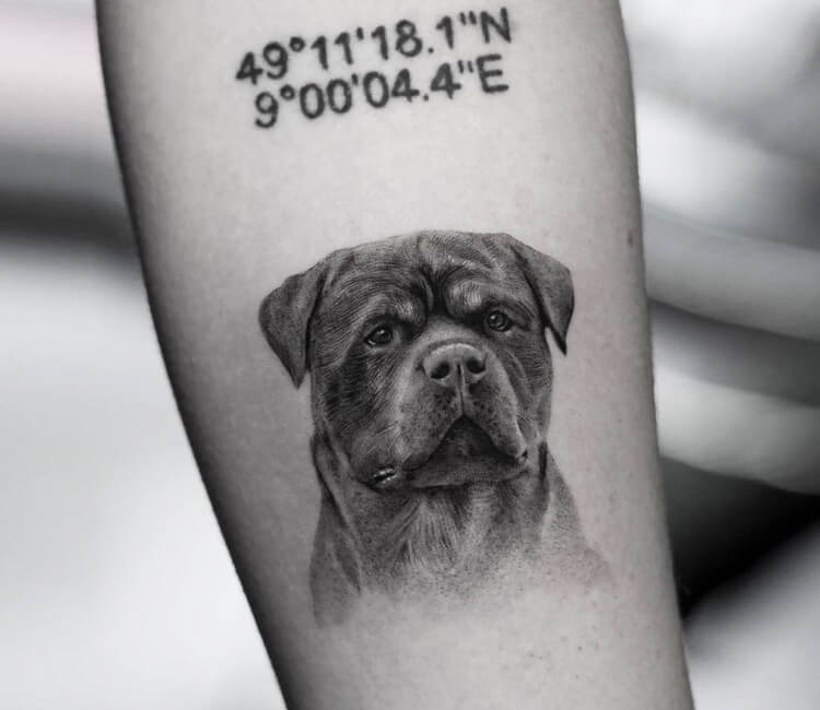 Rottweiler tattoo by Ben Tats | Post 31962