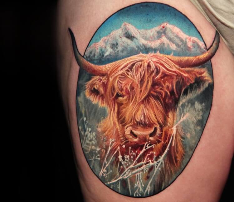 Large 'Highland Cow Head' Temporary Tattoo (TO00036534) : Amazon.com.au:  Beauty