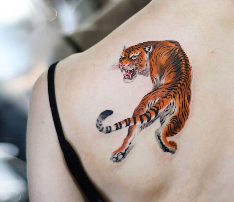 Awesome tiger tattoo Via jenvonklitzing  Tattoos Sleeve tattoos Hip  tattoo