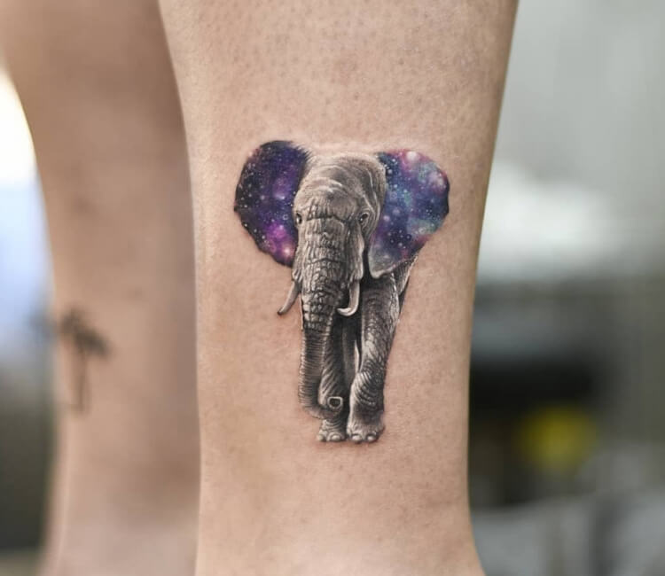My Indian Elephant tattoo done by Sammy Strange Beverly MA : r/tattoos