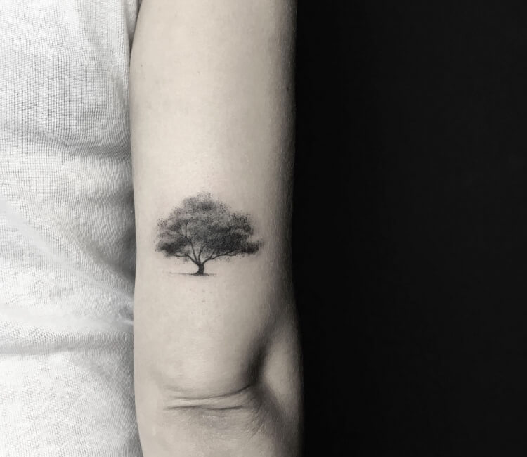 Oak Tree Tattoo | Oak tree tattoo, Tree tattoo, Tree tattoo small