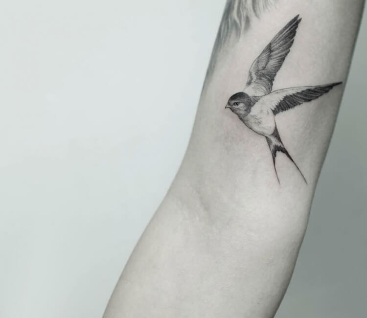 Swallow Tattoo | InkStyleMag