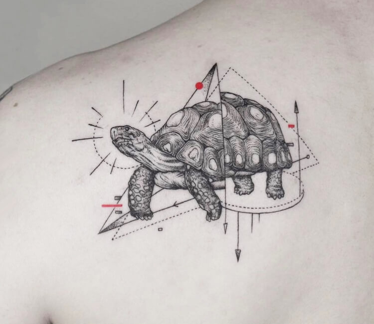 Tortoise and Wildflower Tattoo