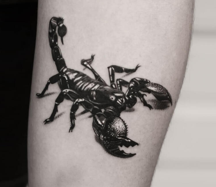 Top 66 3d scorpion tattoos  thtantai2