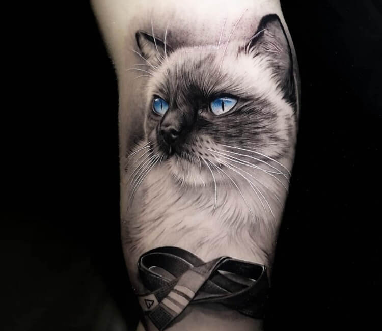 Top 96 Cat Tattoos