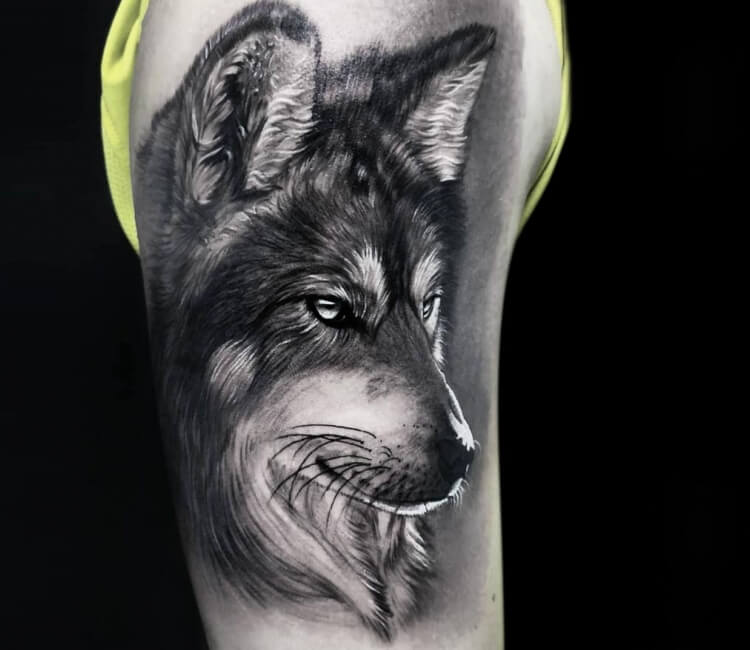 Black and Gray Wolf with Moon Temporary Waterproof Tattoo For Men and Women   Amazonin Beauty
