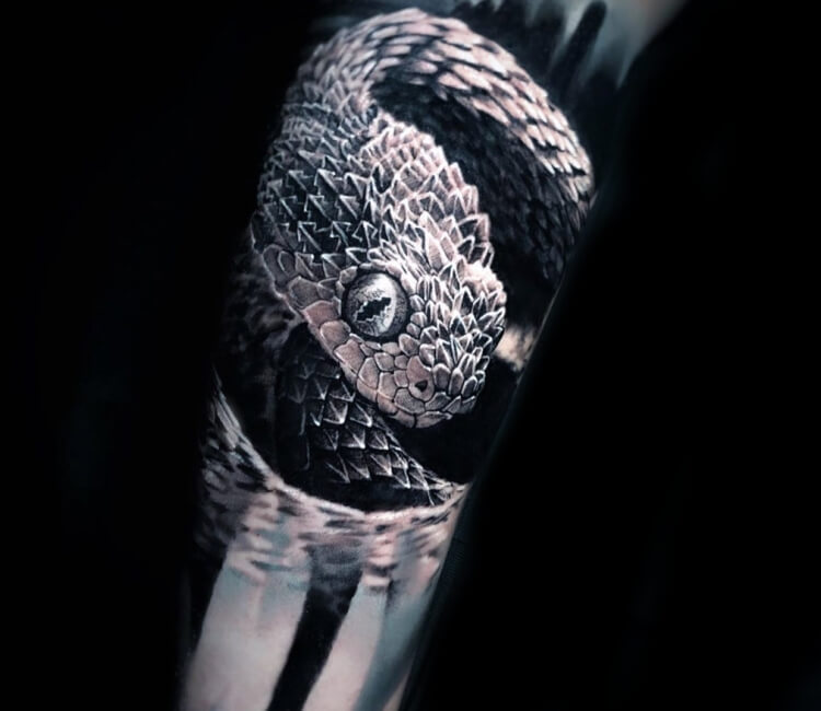 14+ Viperid Snake Tattoo Designs and Ideas | PetPress | Snake tattoo  design, Tattoo designs, Snake tattoo