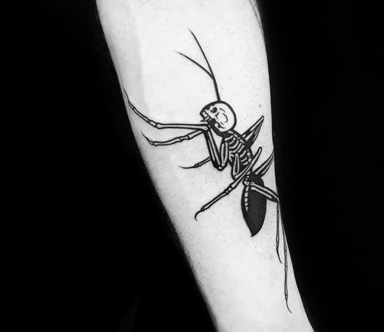 Ant Tattoo By Roy Tsour Post 30382