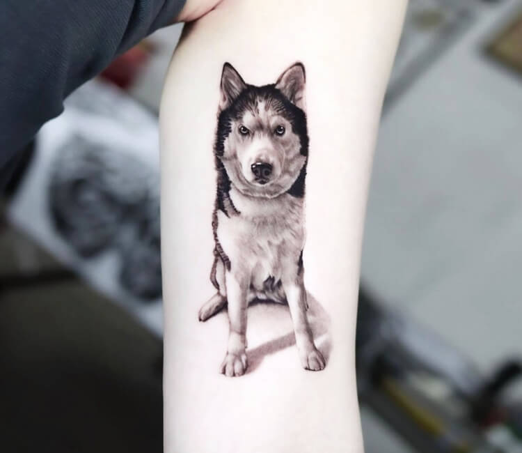 Husky tattoo by Unibody on DeviantArt