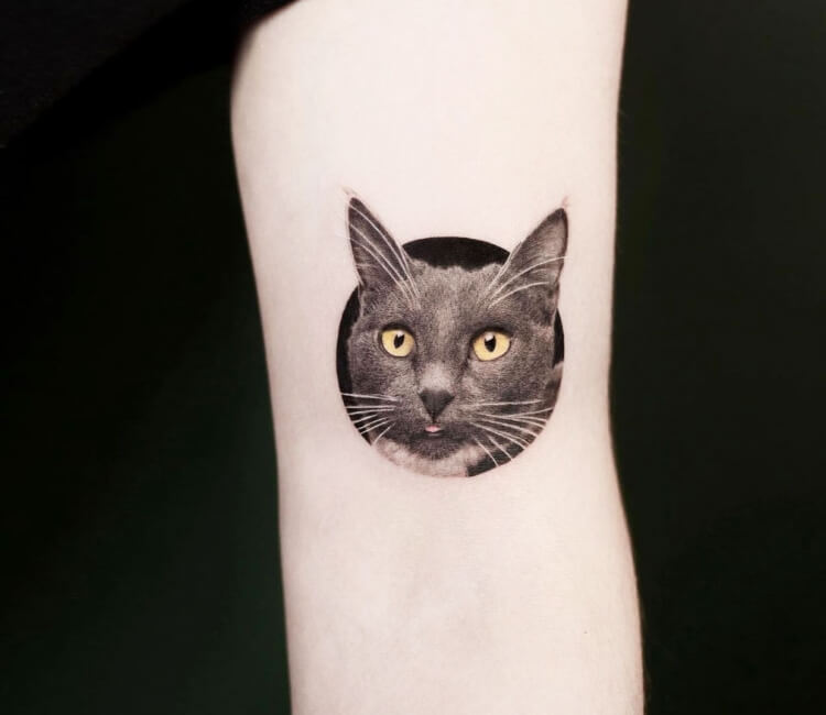 sailorcat tattoo  Cat tattoo Russian prison tattoos Prison tattoos