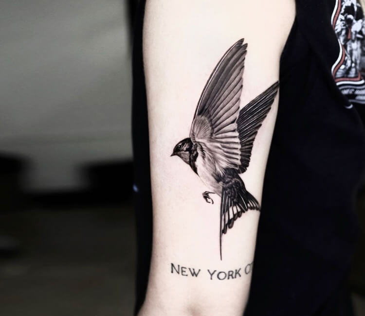 Bird Tattoo Images  Free Download on Freepik
