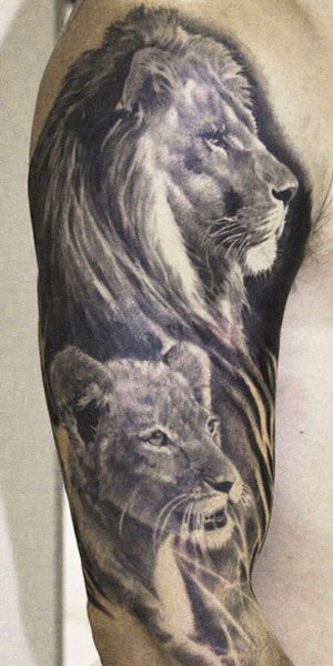 This design just confuses me It would have been better if the lion was  either straight on walking forward or just a normal front facing portrait  It didnt even cover the original