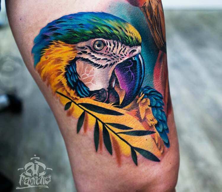 Flying Macaw Temporary Tattoo