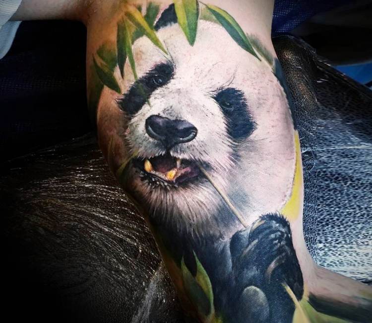Aggregate 77 panda bear tattoo super hot  thtantai2