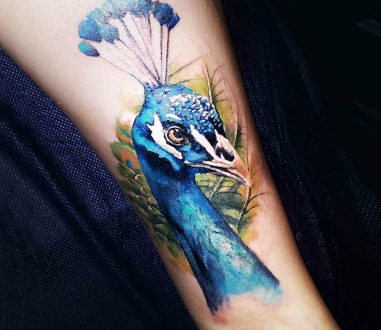 Peacock Tattoo: Design & Application – SwittersB & Exploring