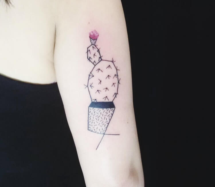 18 Awesome Cactus Tattoo Ideas For Women  Styleoholic