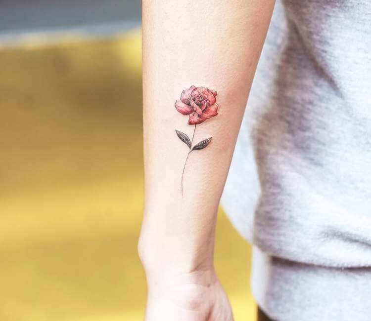 Rose tattoo I did recently | Gallery posted by Lou | Lemon8