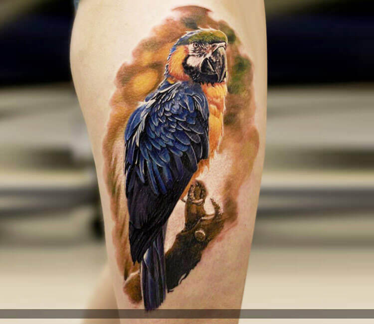Parrot tattoo in color by thaimagictattoo on DeviantArt