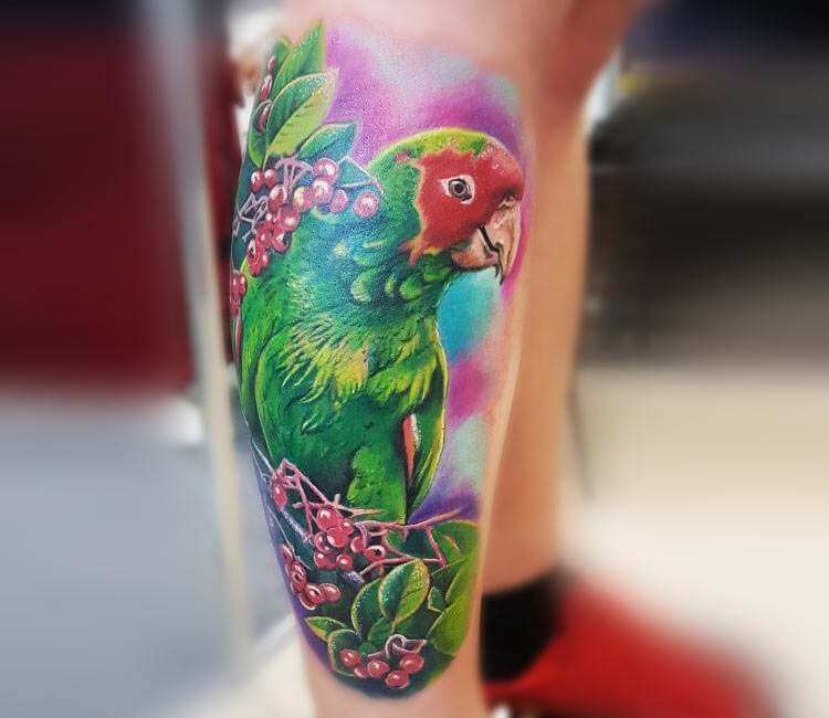 watercolor parrot tattoo by Huka Lewis at Body Electric tattoo in L.A | Parrot  tattoo, Watercolor parrot tattoo, Tattoos with meaning