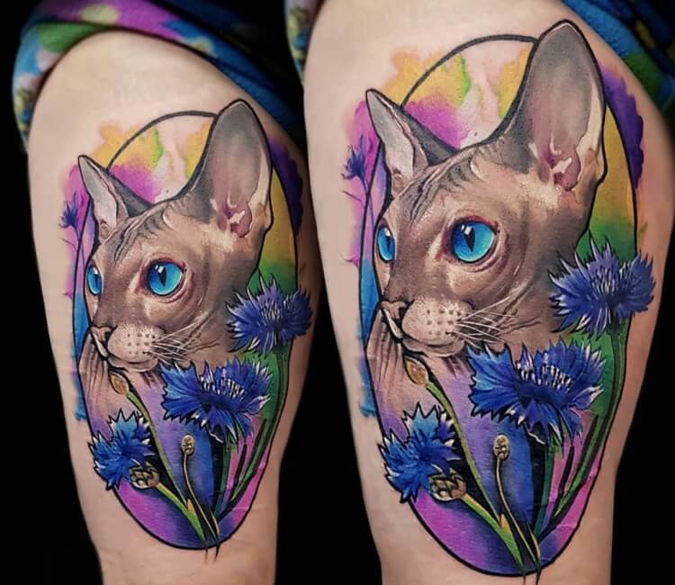 Mhmd Mtr  Sphynx cat with tattoo 3D Design 