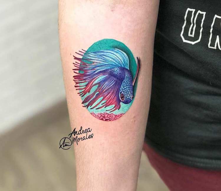 Tattoo art siamese fighting fish in lotus hand drawing and sketch 6006140  Vector Art at Vecteezy