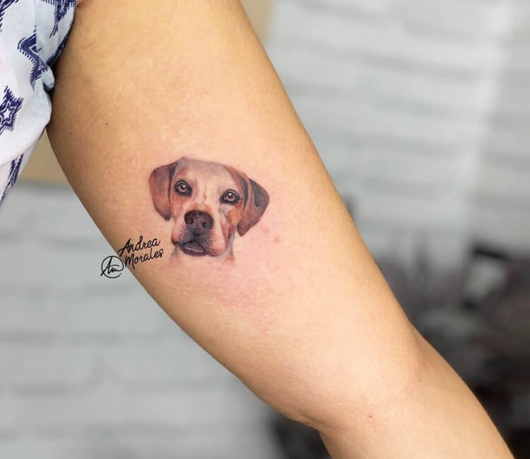 Bark Wants to Give Dog Owners Free Tattoos
