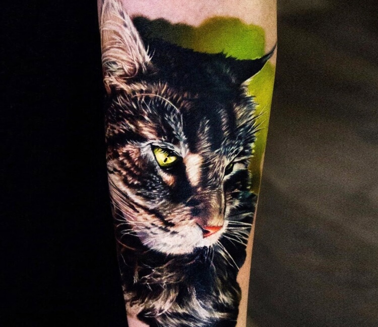 Creepy Cat by shitttwizardtattoos at Vitamin Ink Tattoos in South Africa   rtattoo
