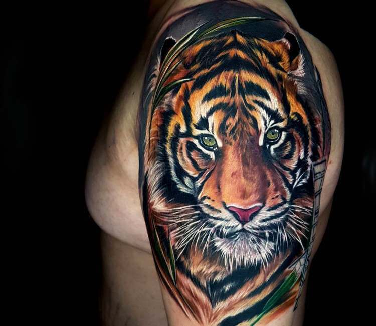 Tiger tattoo by Ata Ink | Photo 23179