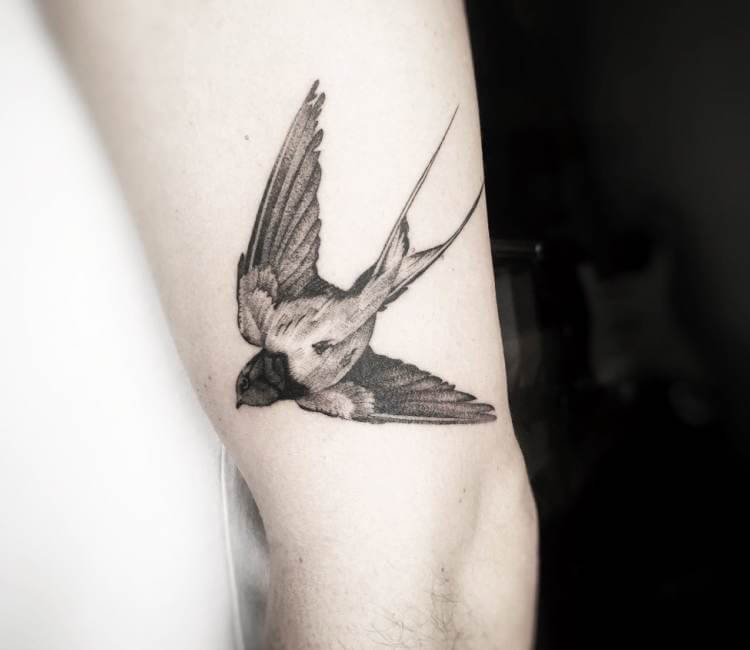 LAZY DUO Swallow Romantic Humming Bird Party Temporary Tattoo Nature Art –  LAZY DUO TATTOO