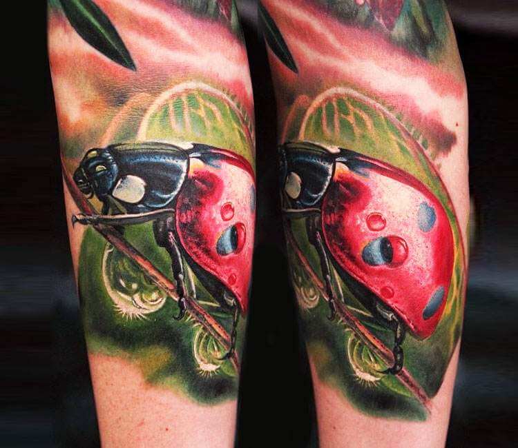 Neo traditional ladybug tattoo #ladybugtattoo #neotraditionaltattoos  #AntonyFlemming | Lady bug tattoo, Tattoos for women, Sleeve tattoos