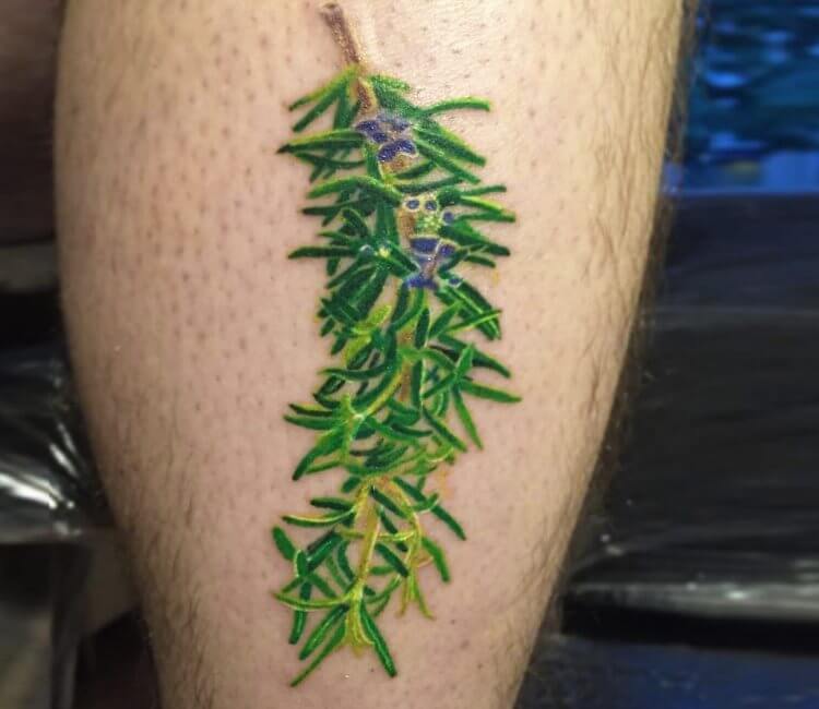 Fine line Rosemary.... - Kevin Joseph Tattoo | Facebook