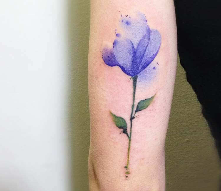 Getting my first tattoo, would something similar to this on my inner ankle  age well or would the thin lines + colors blur together? : r/tattooadvice