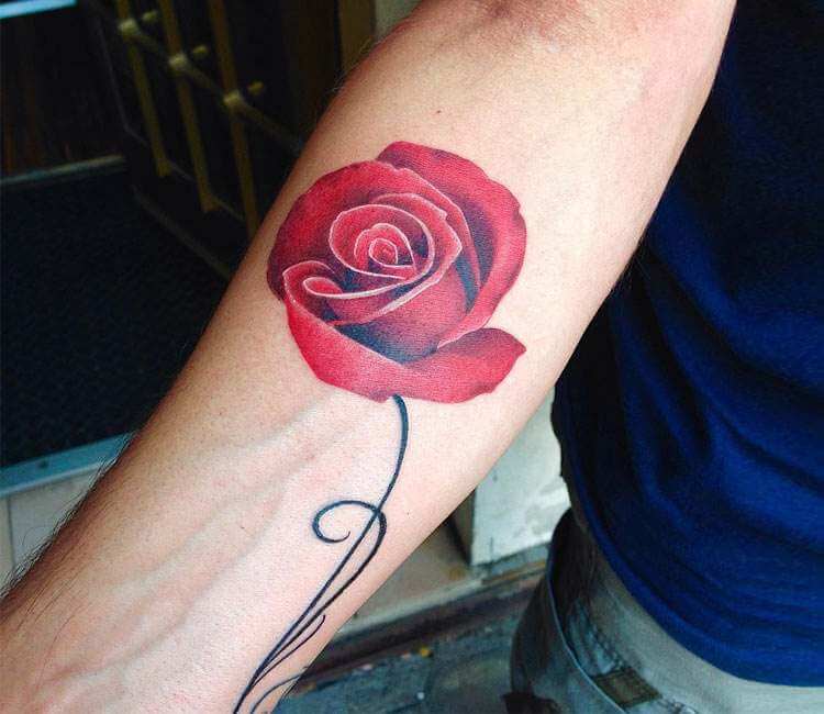 Tattoo uploaded by anansi  realistic red rose in color on arm by Marci at  tattoo anansi Munich Germany Europe  Tattoodo