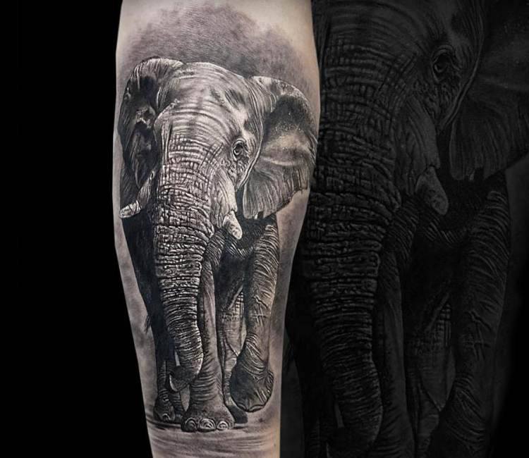 Elephant tattoo by Coen Mitchell | Post 14548
