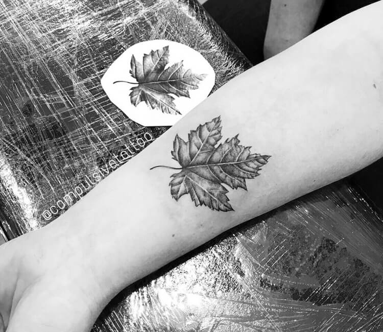 Palm leaf tattoo located on the forearm, illustrative