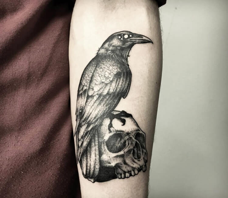Premium Vector  Tattoo art crow on a skull hand drawing and sketch
