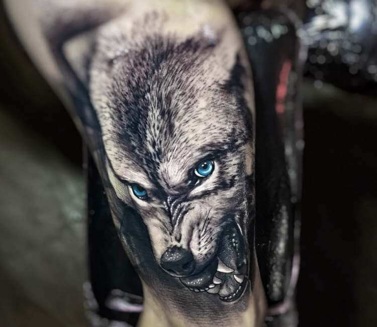 Wild Wolf tattoo by Daniel Bedoya  Photo 25846
