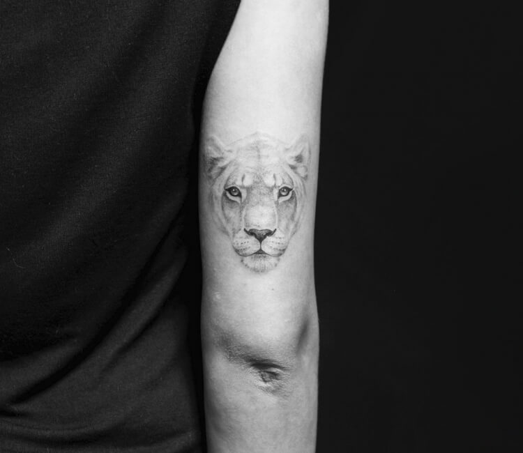 artist daniel berdiel lioness head tattoo 19124181653
