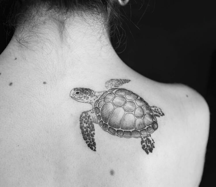 small sea turtle tattoo  small sea turtle tattoo  Flickr