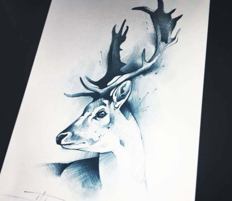 Drawing Realistic Deer Royalty-Free Images, Stock Photos & Pictures |  Shutterstock