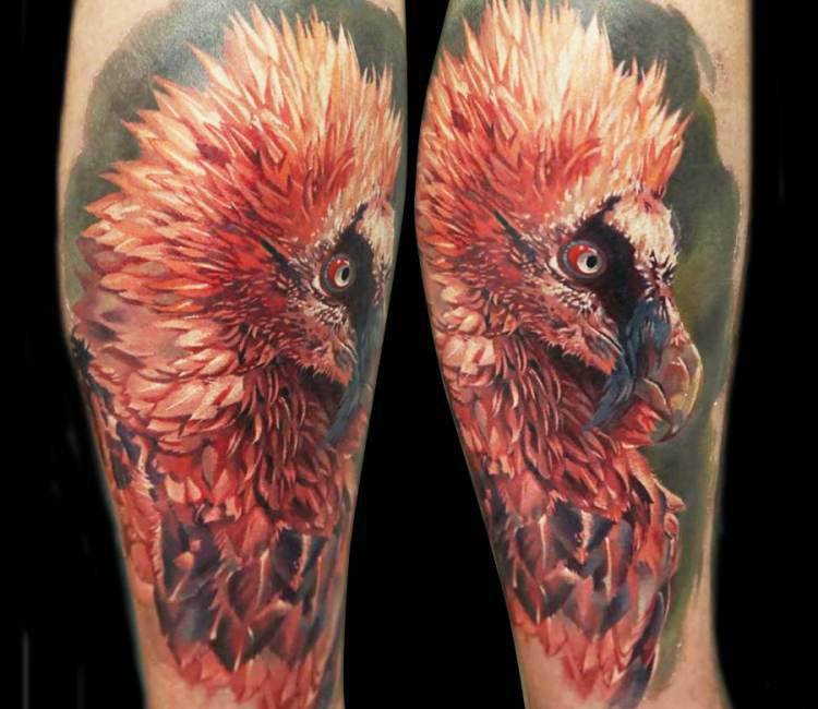 Bird Bearded vulture Chicken Drawing Sketch, Bird, animals, heart png |  PNGEgg