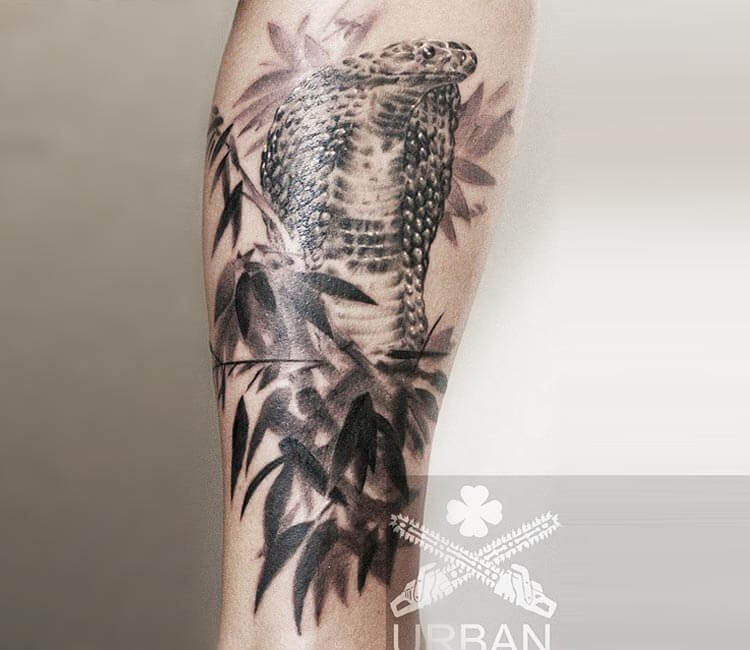 King Cobra Snake Tattoo free image download