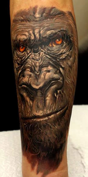 silverback gorilla tattoo