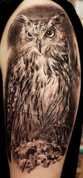 awesome black  grey owl tattoo  tattoo studio UBIRATAN TATTOO ARTIST    Realistic owl tattoo Wildlife tattoo Owl tattoo