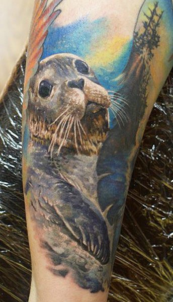 13 Suave Seal and Sea Lion Tattoos  Tattoodo