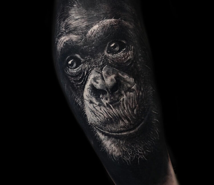 Tattoo tagged with: animal, big, black and grey, chimpanzee, facebook,  inner arm, matiasnoble, portrait, primate, twitter | inked-app.com
