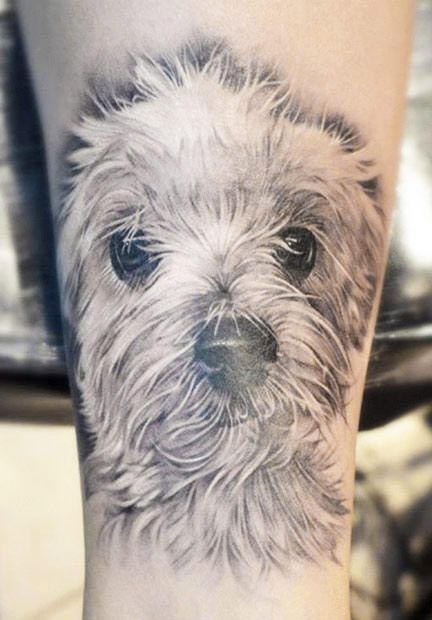Pet Tattoos Are the New Couples Tattoos  The Wildest