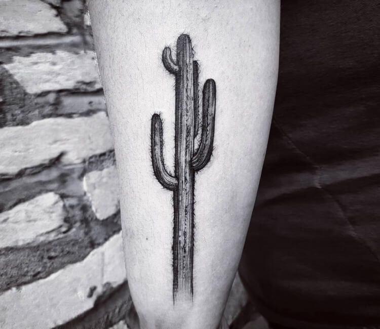 Aggregate 74+ cactus tattoo black and white latest - in.eteachers